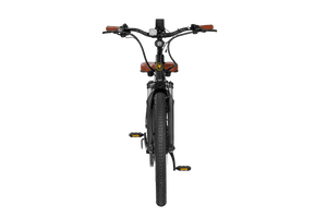 Santa-Monica-Ebike-Matte-Black-Back