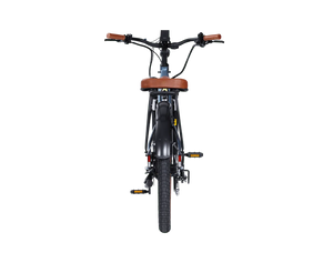 Santa Monica Ebike