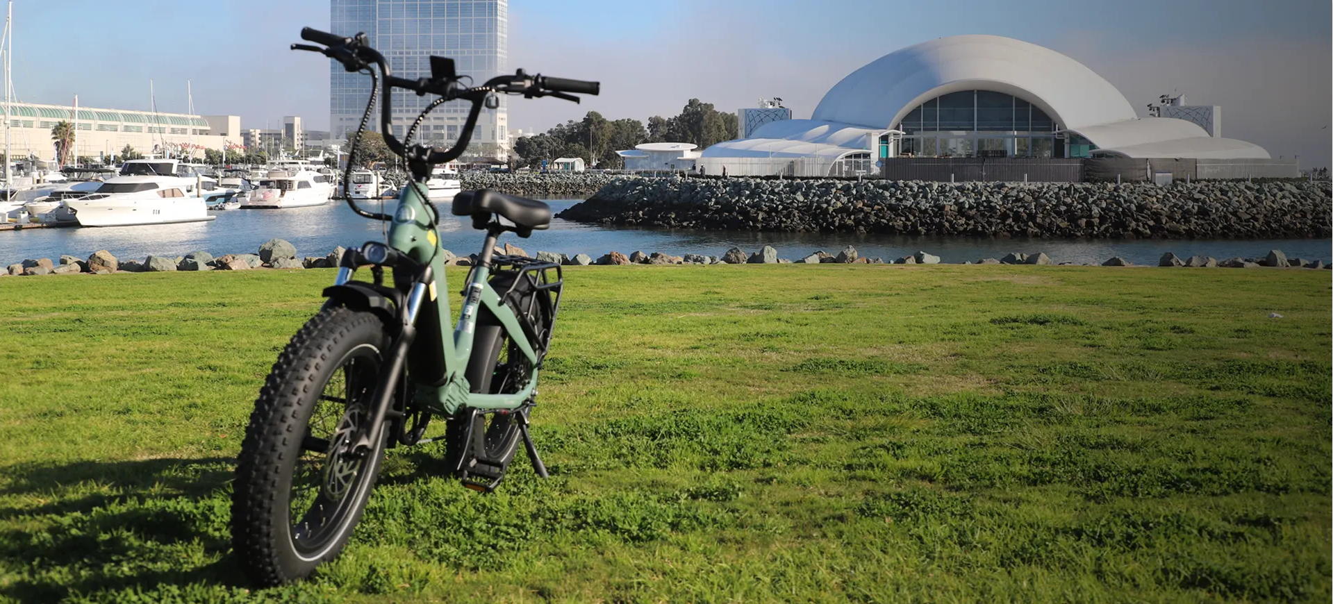Electric bike on grass with waterfront and buildings in the background