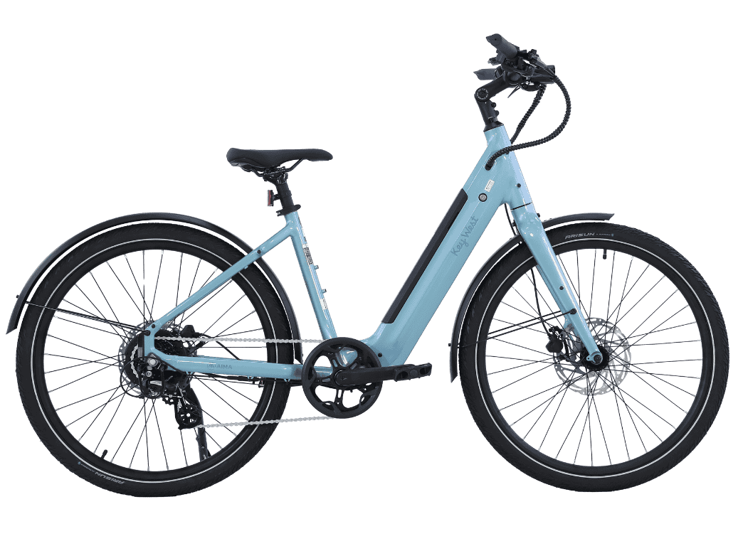 www elektrofahrrad AIMA