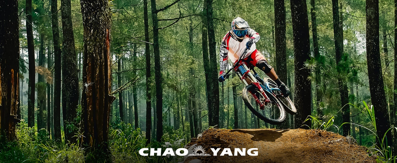 Chaoyang - Tires & Tubes