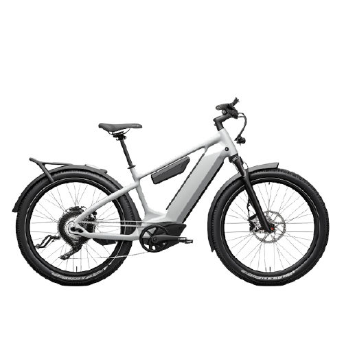 Fat Tire E-bikes