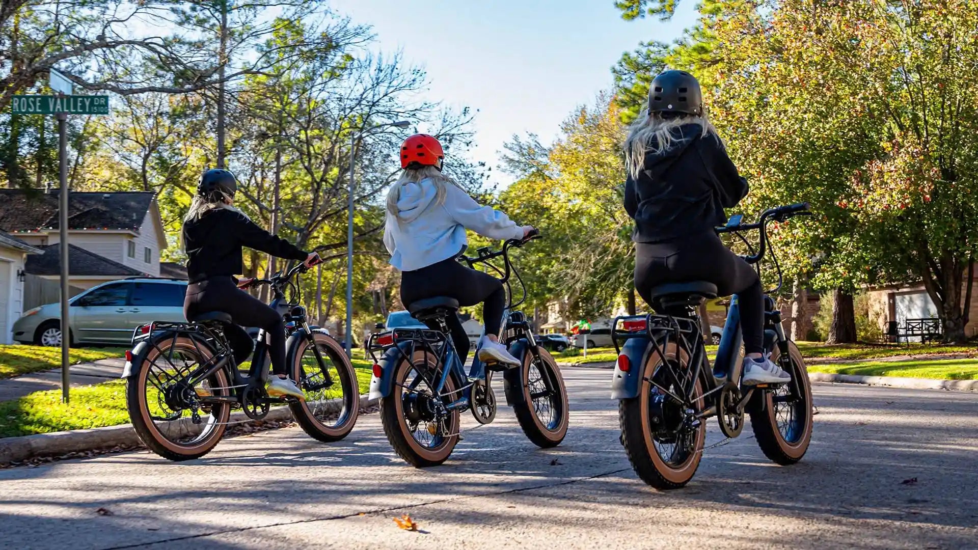 Fat Tire Step Through 20