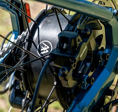 Powered by BAFANG