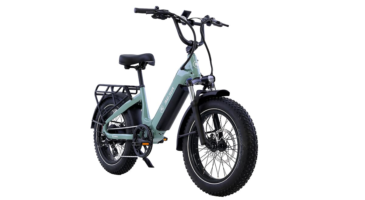 Motor & Drivetrain