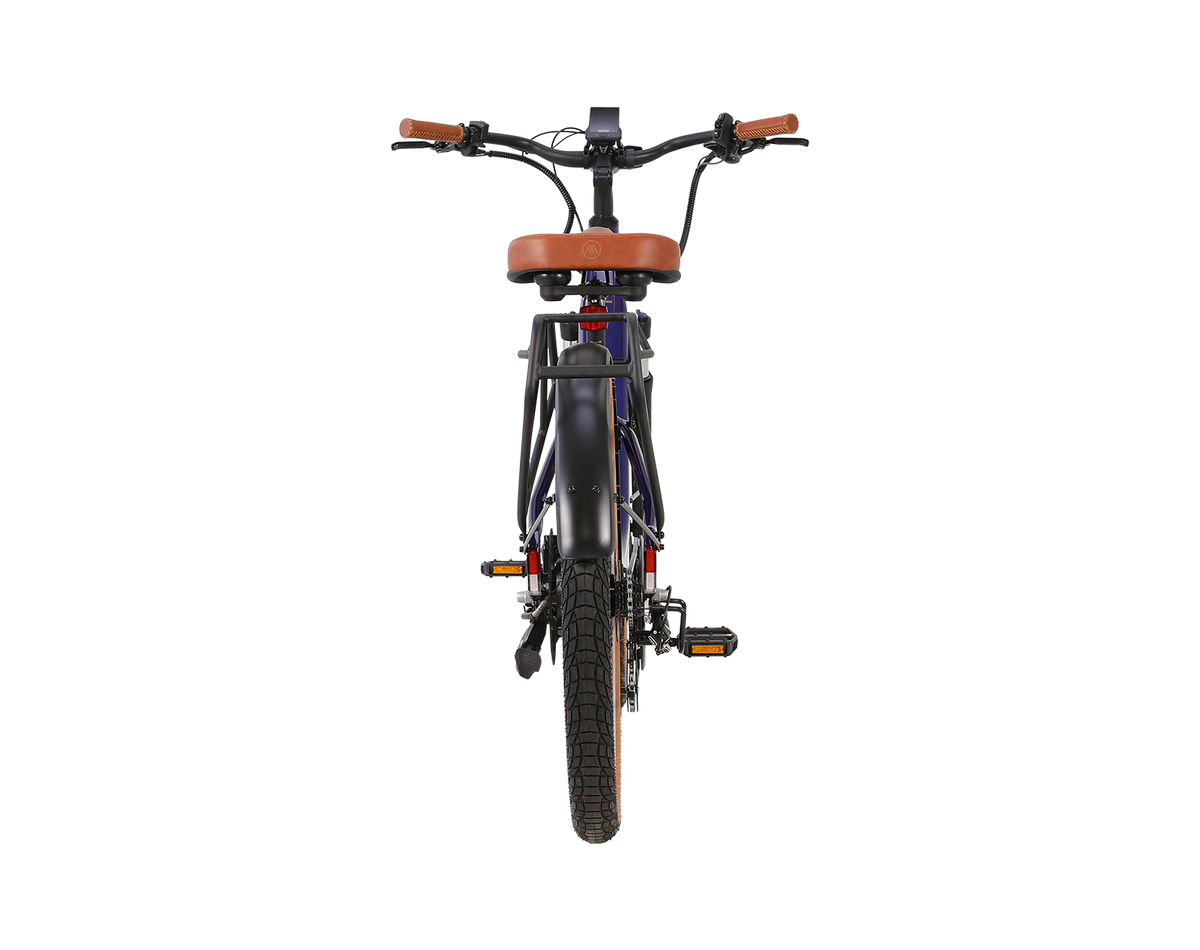 Santa Monica Ebike