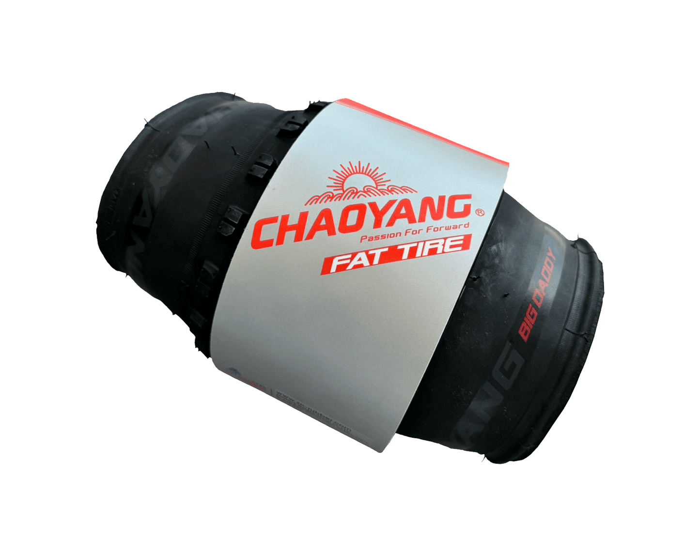 Big Daddy Fat Bike Tire