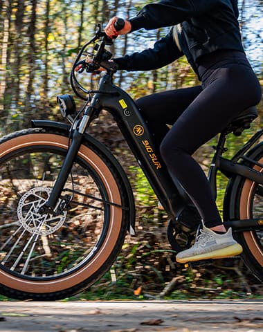 Forest Trail Riding