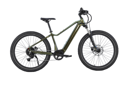 Rocky E-Mountain Bike