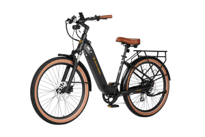 Santa-Monica-Ebike-Matte-Black-Back-Left
