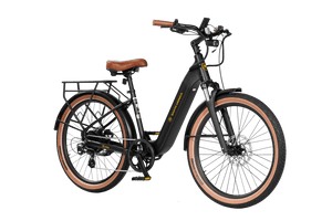 Santa-Monica-Ebike-Matte-Black-Back-Right