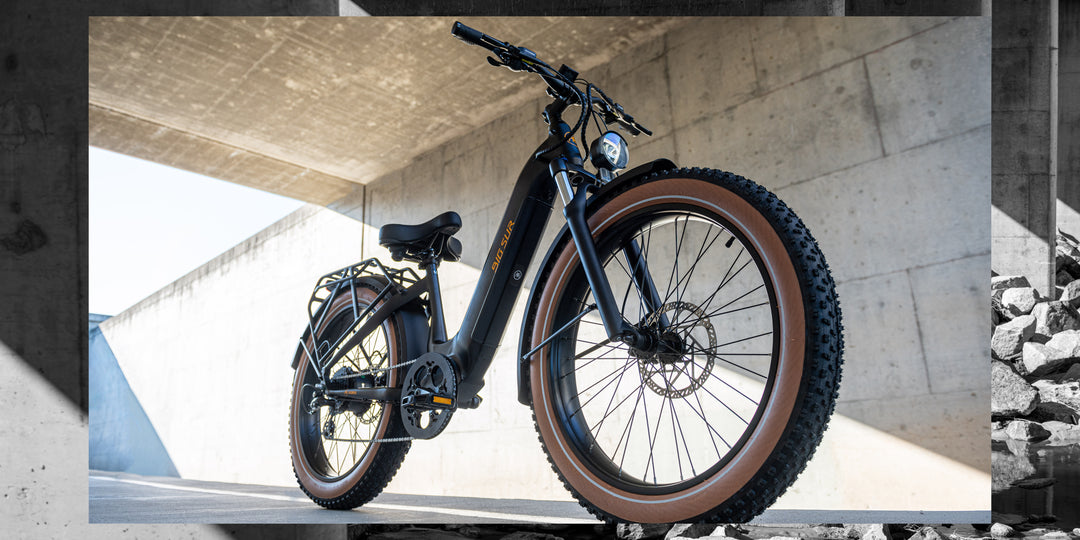 AIMA E-Bike | Global Leaders in E-Mobility industry – AIMA Ebike